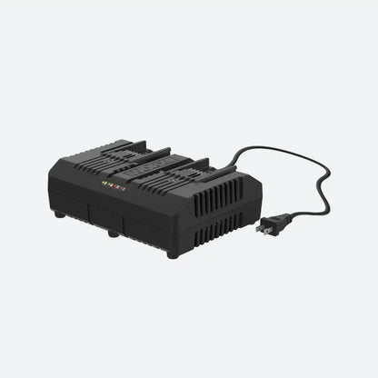 20V 4 A dual charger