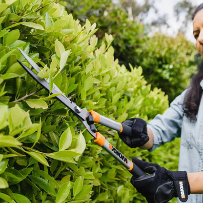 9" hedge shears