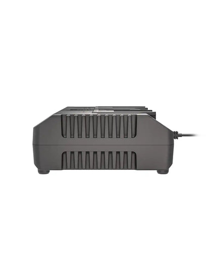 20V 4 A dual charger