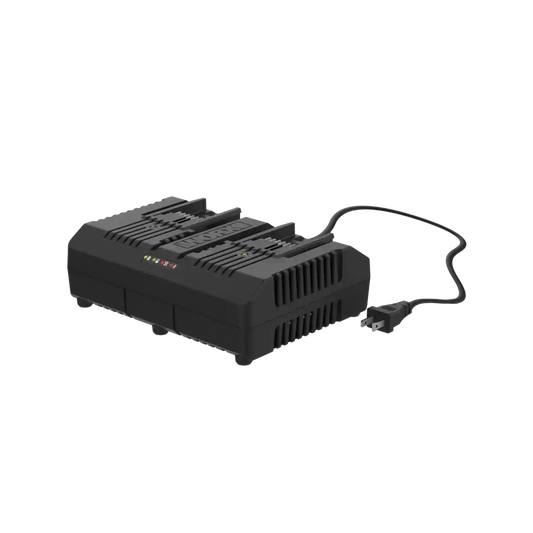 20V 4 A dual charger