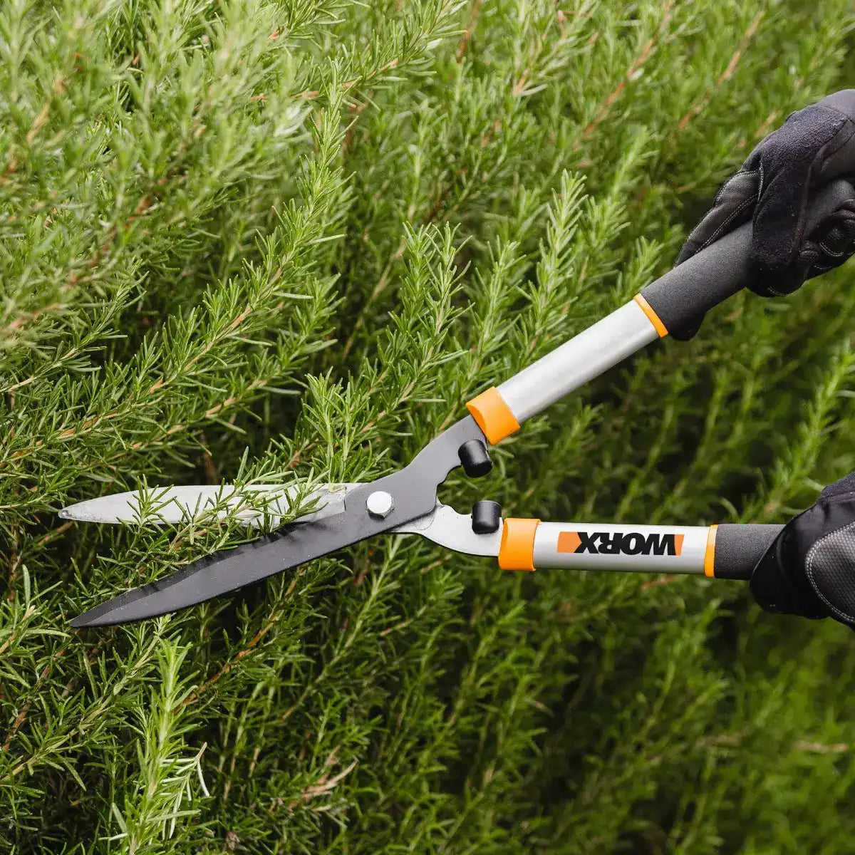 9" hedge shears