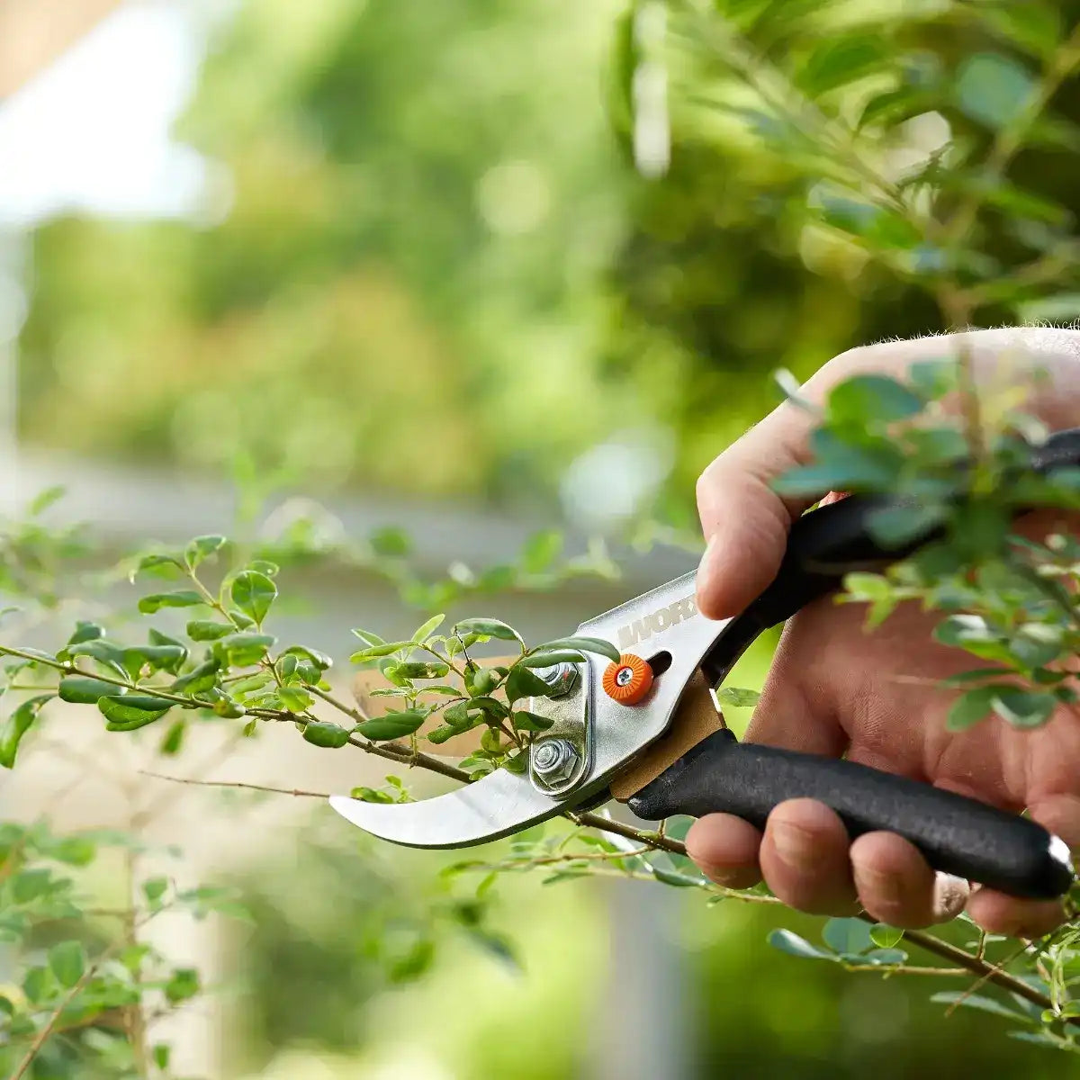 5/8" bypass pruner