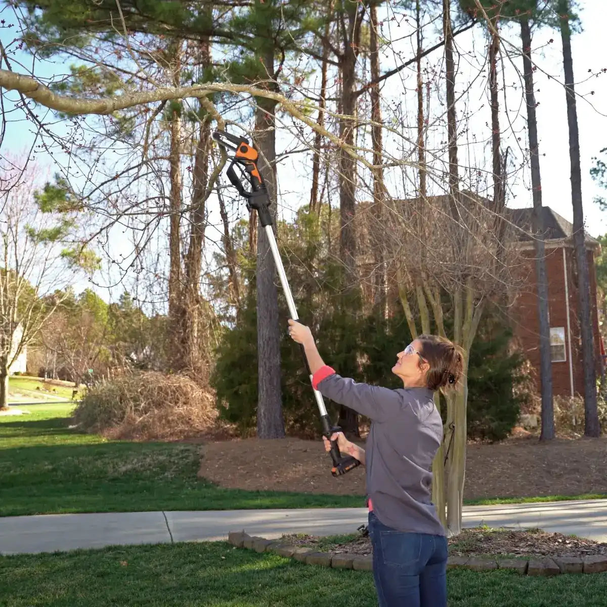 20V 5'' pruning saw