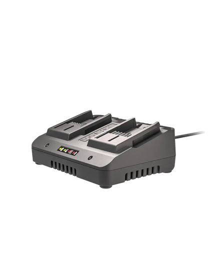 20V 2 A dual charger