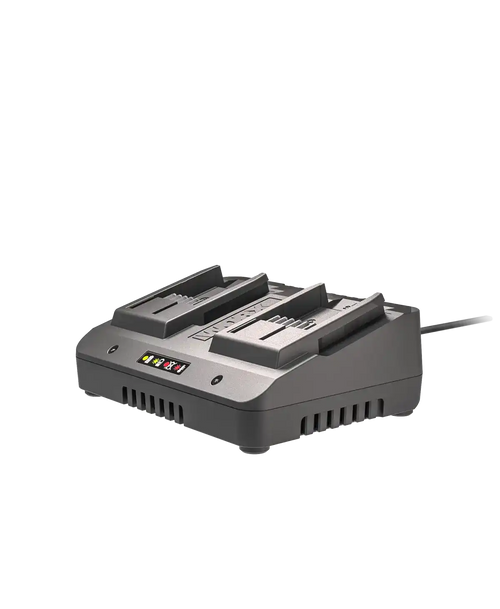 20V 2 A dual charger