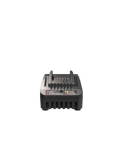 20V 2 A charger