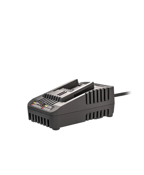 20V 2 A charger