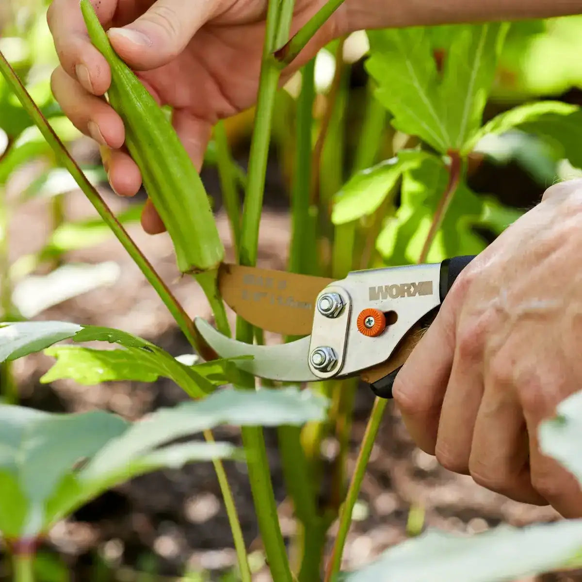 5/8" bypass pruner