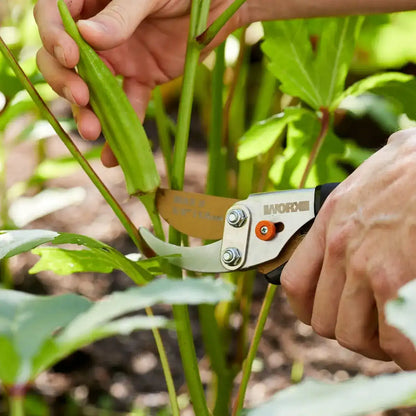 5/8" bypass pruner