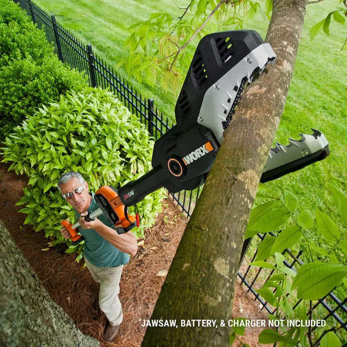 20V Power Share Cordless JawSaw 5-Foot Extension Pole