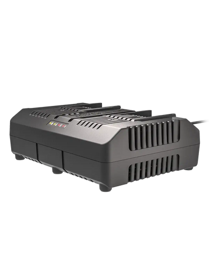 20V 4 A dual charger