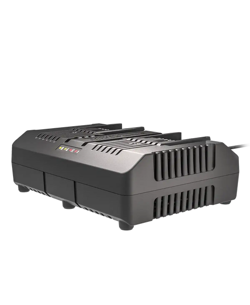20V 4 A dual charger