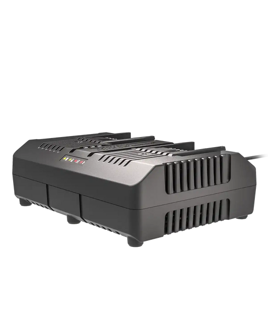 20V 4 A dual charger