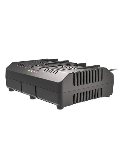 20V 4 A dual charger